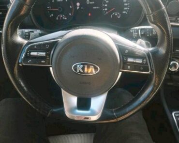 KIA Sportage Hybrid diesel 2.0 2019 Automata 10 auto-dan.ro