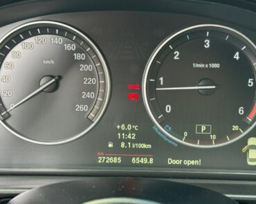 BMW 525d Diesel 2.0 2011 Automata 19 auto-dan.ro