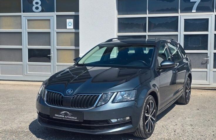 Skoda Octavia Diesel 2.0 2020 Automata m-1 auto-dan.ro
